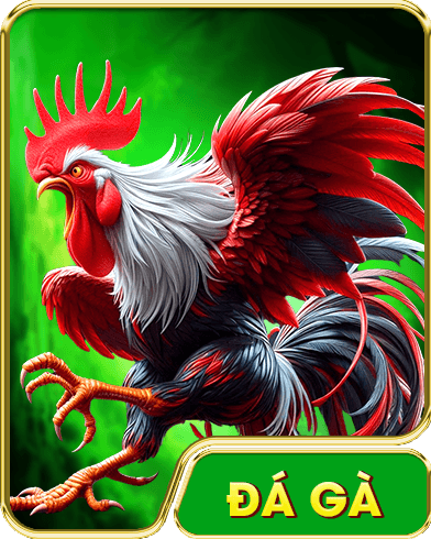 đá gà 8day